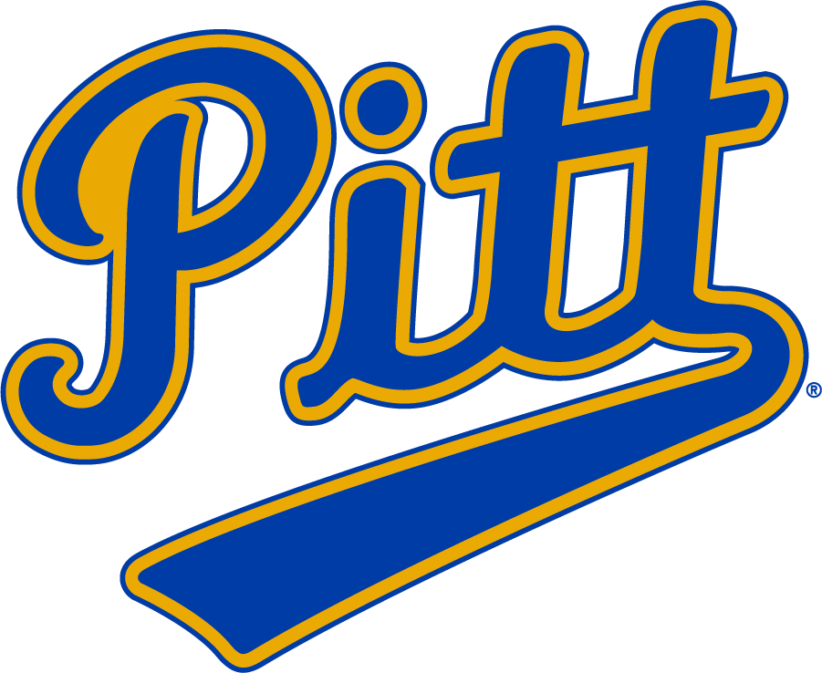 Pittsburgh Panthers 1970-1987 Wordmark Logo diy DTF decal sticker